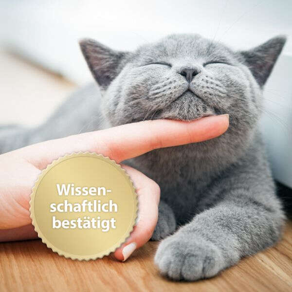 Felisept Home Comfort Beruhigungshalsband für Katzen